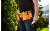 c7723874caad4ea80c9a1413bab07423